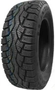 Joyroad Winter RX818