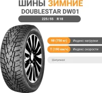 Doublestar DW01