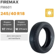 Firemax FM601