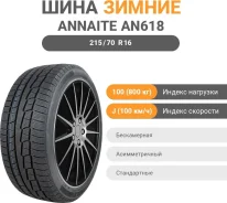 Annaite 100
