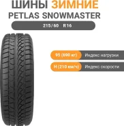Petlas Snow Master W651