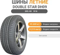 Doublestar DH09