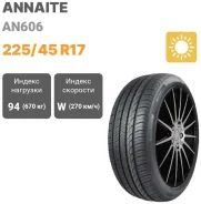 Annaite 606