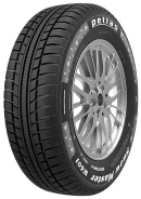 Petlas Snow Master W601