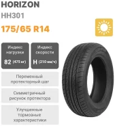 Horizon HH301