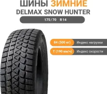 Delmax Snow Hunter