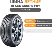 Black Arrow Dart P09