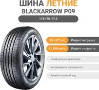 Black Arrow Dart P09