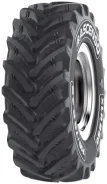 Ascenso XLR 880