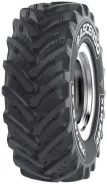 Ascenso XLR 880