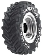 Ascenso TDR 650