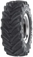 Ascenso XLR 880