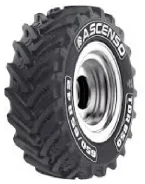 Ascenso TDR 650