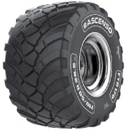 Ascenso FTR 170
