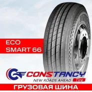 Constancy Ecosmart66