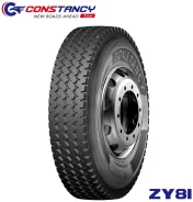 Constancy ZY81