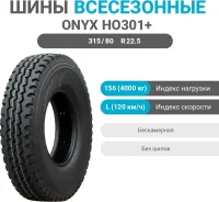 Onyx HO301