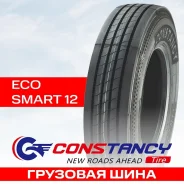 Constancy Ecosmart12