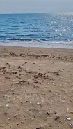 ������� 3,2 �� �� ������ ��������� ����� � ��������� ������. 320����., ��� ��������������� ��������� �������������, ������������� ����