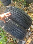 ZMax Landgema. ������, 2024 ���, �/�, ����� 15 % ����