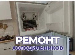 ������ �������������. ����