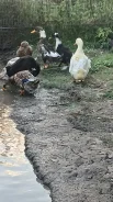 ����. ����