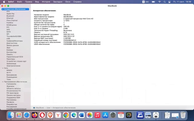 Apple. 12", 1,1����, ��� 8 ��, ���� 250���, WiFi: 1, Bluetooth: 1, ����������� �� 3��. ����