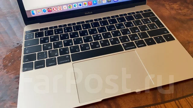 Apple. 12", 1,1����, ��� 8 ��, ���� 250���, WiFi: 1, Bluetooth: 1, ����������� �� 3��. ����