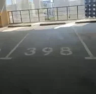 ����� �����������. ����