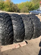TyRex CRG O-184. ������, �/�, ����� 15 % ����