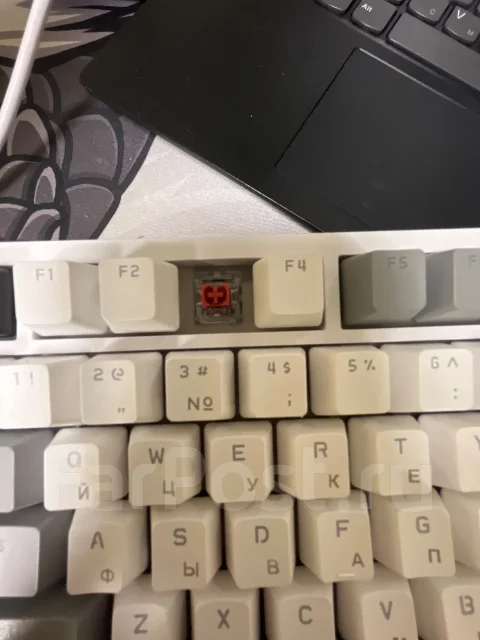 ����������. ����