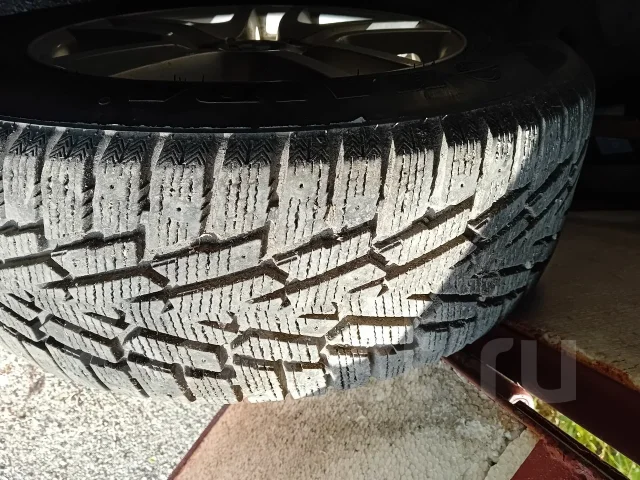 Haida. ������, ��� �����, �/�, ����� 5 % ����