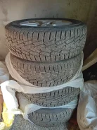 Haida. ������, ��� �����, �/�, ����� 5 % ����