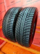 Bridgestone DriveGuard Winter