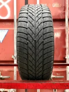 Gislaved Euro Frost 5