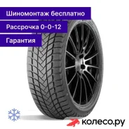 Winter Lander 155/70 R13 75T