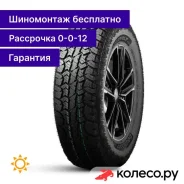 W01 WildWolf 265/65 R17 120/117Q