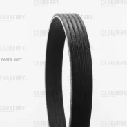 ������ ������������ Carberry Carberry 5PK1123 5PK1123 ����