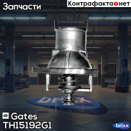 ��������� Gates ���. TH15192G1 TH15192G1 ����