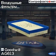 ������ ��������� Goodwill ���. AG613 AG613 ����