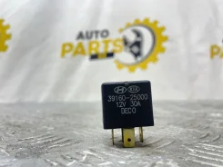 ���� �����������, 3916025000, Hyundai-Kia 3916025000 ����