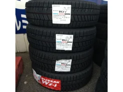 Bridgestone Blizzak WZ-1