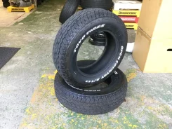 Toyo Open Country A/T EX