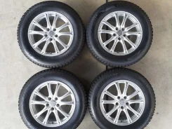 5Zigen Legales aEX
