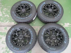 RAYS Team Daytona FDX F7