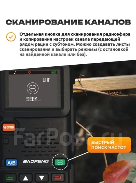 �����. ����