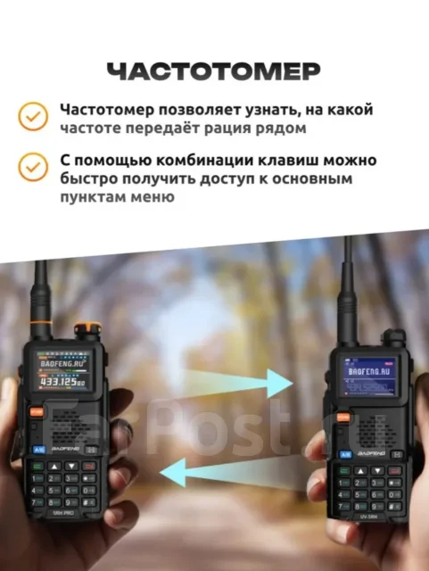 �����. ����