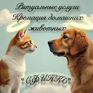 ���������� ������ ��� ��������. ����