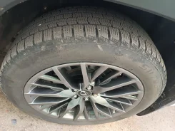 Streamstone. ������, ��� �����, 2022 ���, �/�, ����� 40 % ����