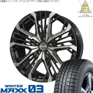 Kyoho Steiner LGX